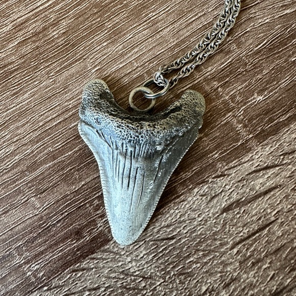 Shark Tooth Necklace - Picture 2 of 4